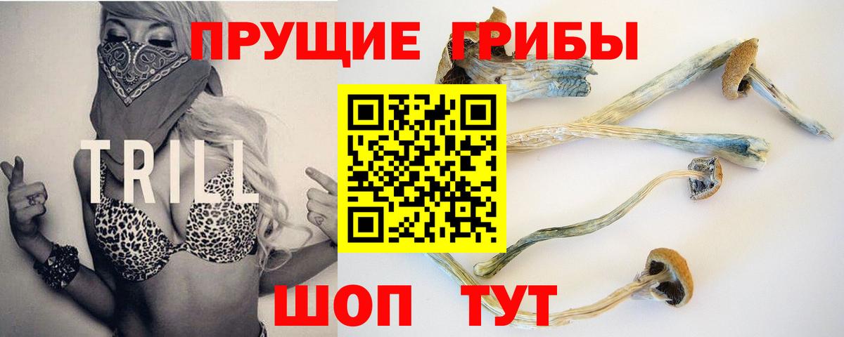 Гурьевск  магазин продажи   Вход с VPN  Псилоцибиновые грибы мухоморы 